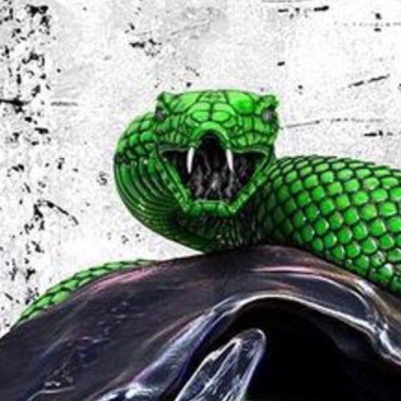 kingsnake326